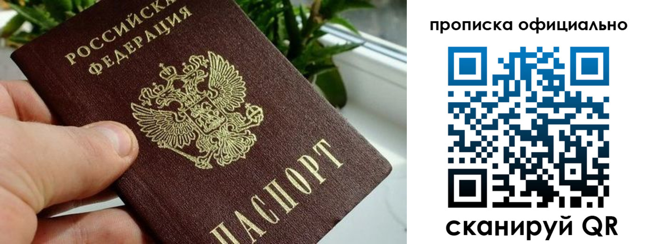 прописка поиск в Богородицке